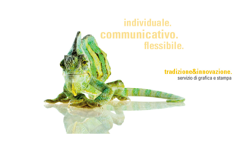 individuale. communicativo. flessibile.